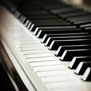 名优馆成人抖音
