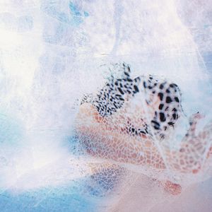 名优馆成人抖音
