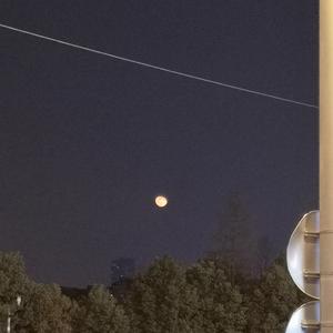 名优馆成人抖音
